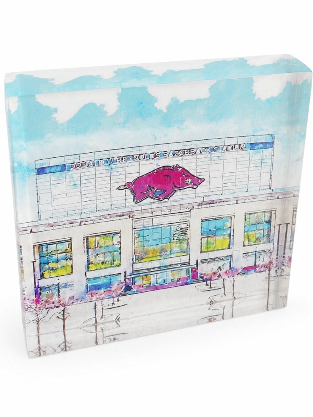 Arkansas Razorbacks Gift Bundle for Her - Picture 4 of 7